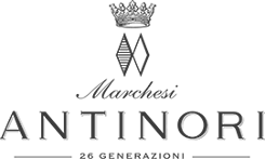 ANTINORI 