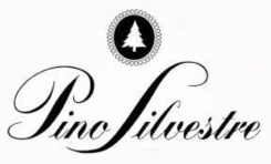 PINO SILVESTRE 