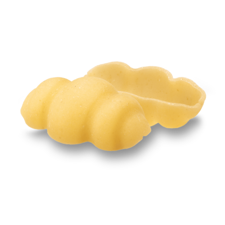 GNOCCHI N.45 24x0,500