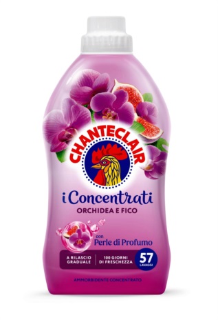 Chanteclair AMM. ORCHIDEA &amp; FICO  ML.1000 LV57