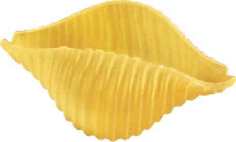 CONCHIGLIE RIGATE N.93 KG.5x3