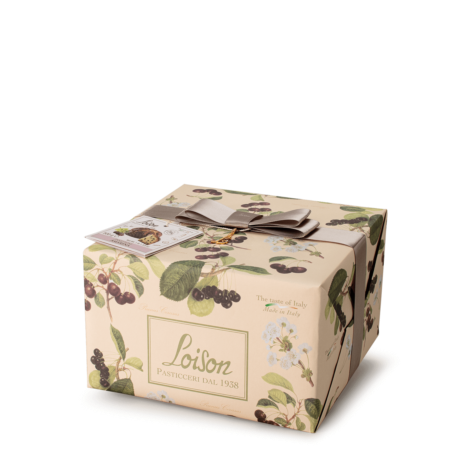 PANETTONE AMARENA GR.500x6