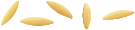 RISONI BARILLA N.26 16x0,500