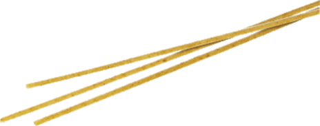 SPAGHETTI INTEGRALI BIO 12x500
