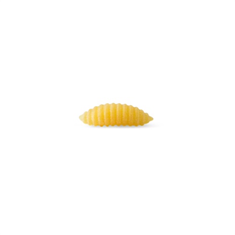 GNOCCHETTI SARDI LA MOLIS. N.27 24x0,500