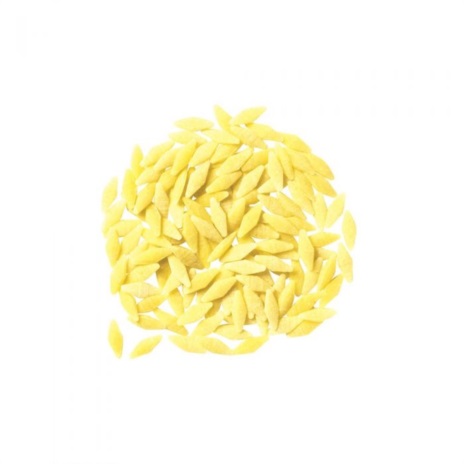 PIGNOLINA N.71 24x0,500